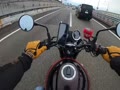 お散歩コース お散歩コース