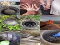夫婦の日2025_排水設備のお掃除 夫婦の日2025_排水設備のお掃除