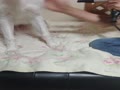 VID_20250615_071943 - Trim.mp4 VID_20250615_071943 - Trim.mp4