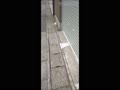 TimeVideo_20250520_143548.mp4 TimeVideo_20250520_143548.mp4