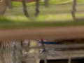 250723b.mp4 250723b.mp4