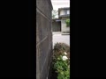 TimeVideo_20250529_121635.mp4 TimeVideo_20250529_121635.mp4