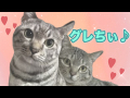 グレちぃ♪ グレちぃ♪